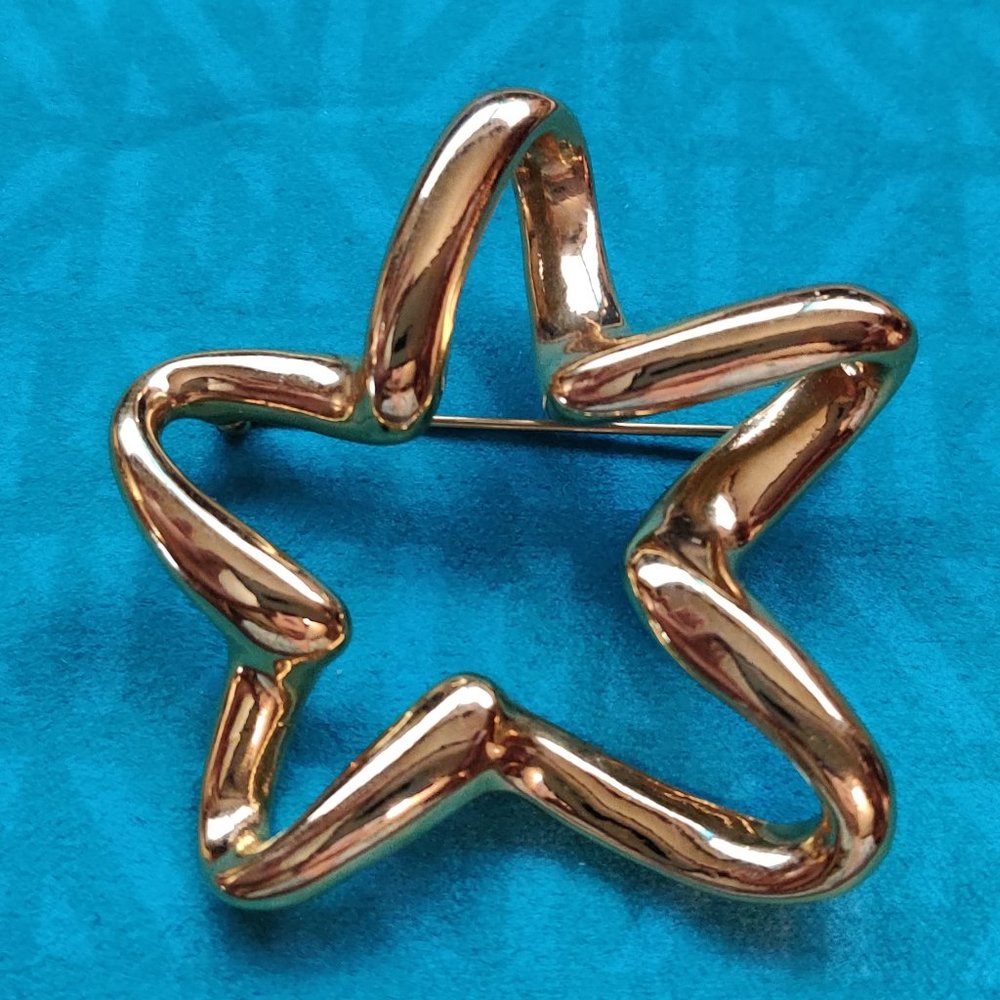 Large Star brooch